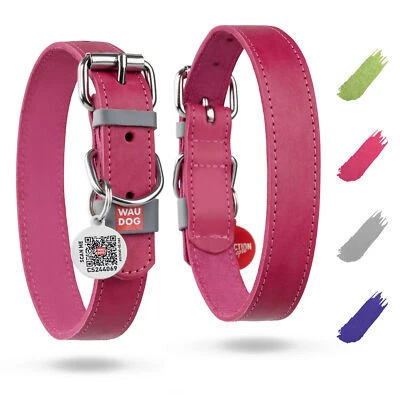 Hundehalsband WAUDOG rosa 19-25cm verstellbar Halsband für kleine Hunde