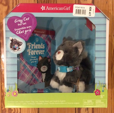 american girl gray cat