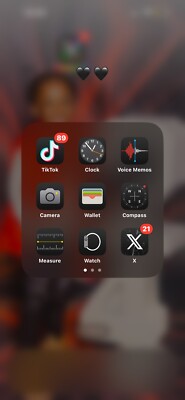 iPhone 14 Pro Max With TikTok