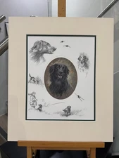 Mick Cawston - Flat Coat Retriever  - Mounted (In Stock)