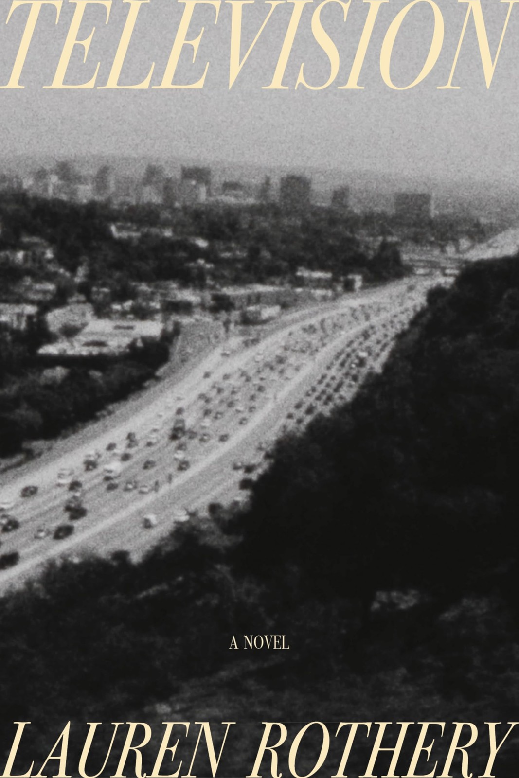 Television: A Novel of Luck,Rothery, Lauren Lauren Rothery,