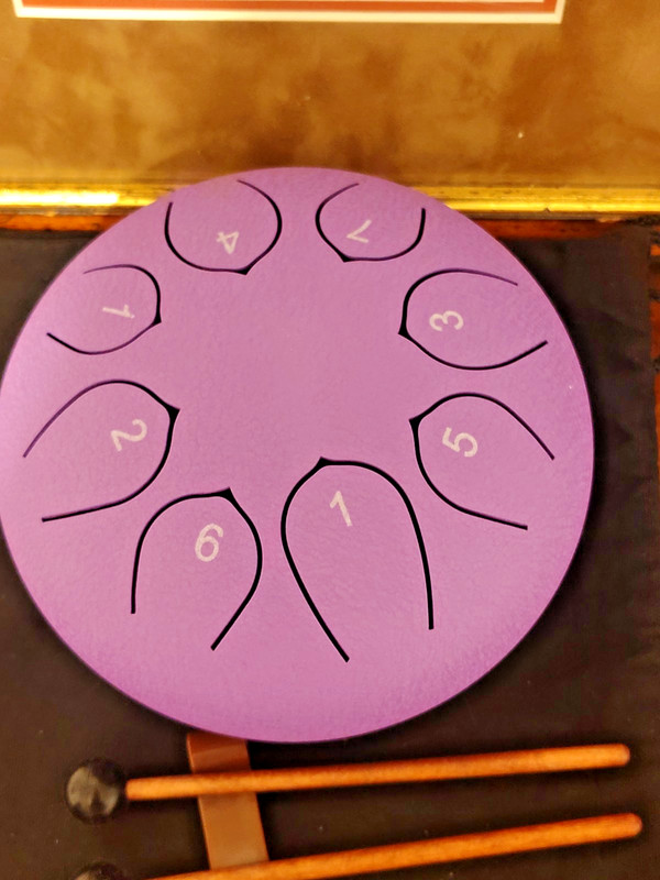 Steel Tongue Drum 6in A67 Purple Velvet Case/Beginner Music Book Mallets+stand