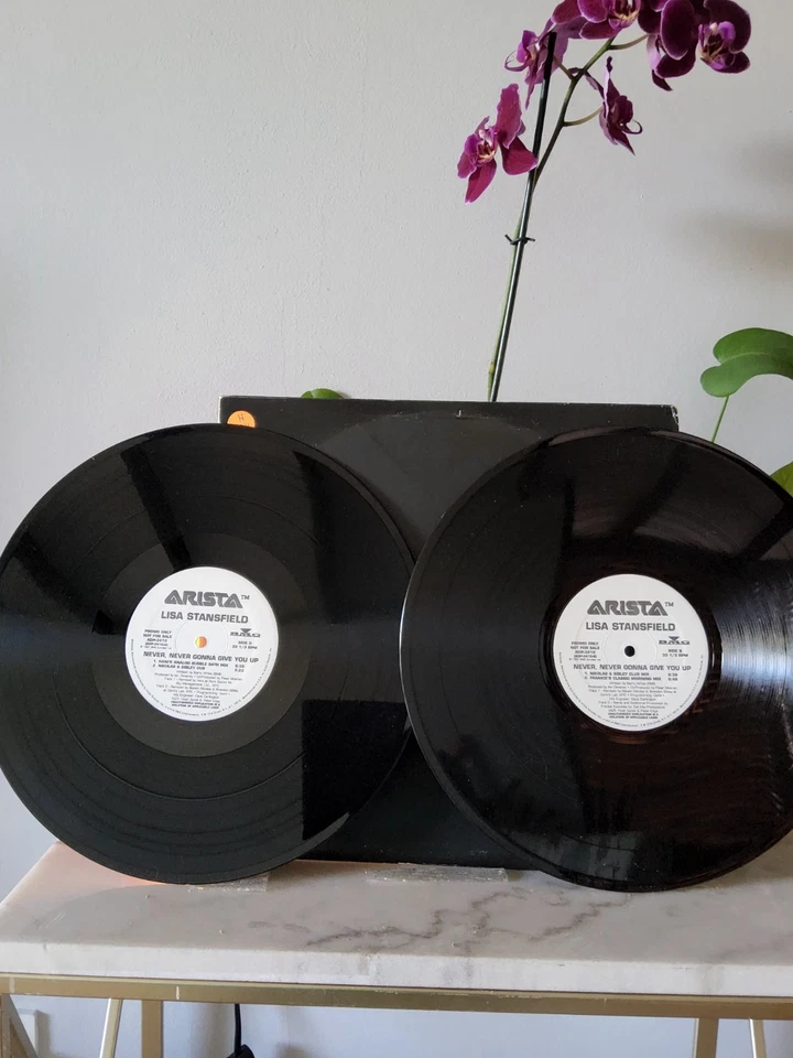 LISA STANSFIELD - "NEVER, NEVER GONNA GIVE YOU UP" / 2X12" w 7 MIXES! / KNUCKLES - Image 3 of 4