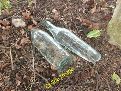 Foto 12x8 alter Wurf im Laubstreu Selkirk alte Sprudel-Trinkflasche WI C2013