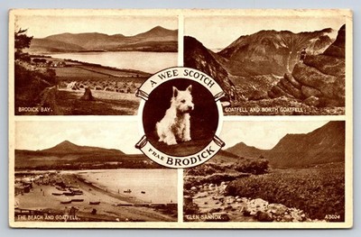 Vintage Brodick Isle of Arran Scotland Postcard Westie Dog Multi-View