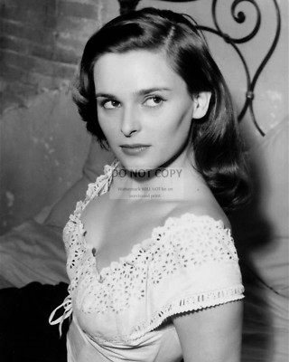 Bose italiano BOSE 101it -r Italiano イタリアーノ 希少色 レッド