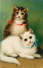 c1910 Embossed Chromolithograph Postcard 7072 Long Hair Tabby Cat and White Cat