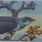 Bild 28 von 51