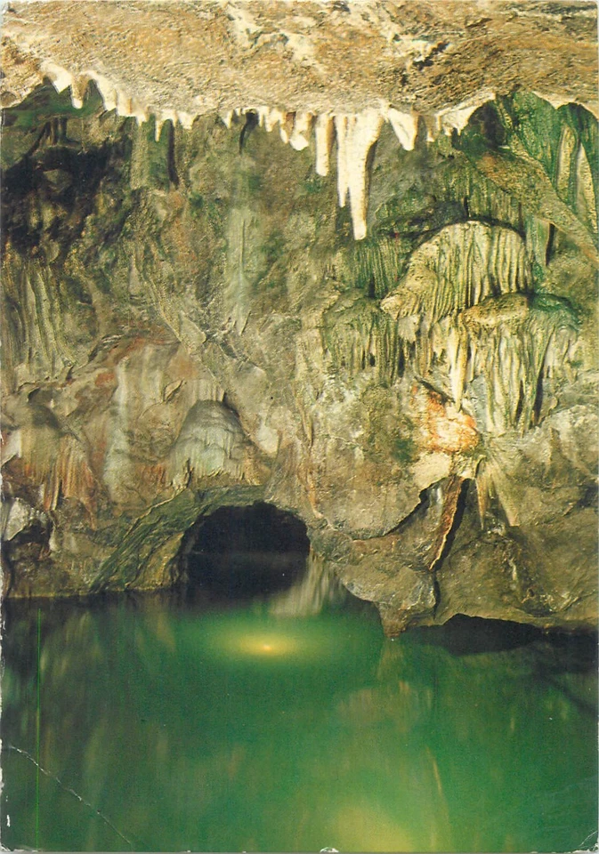 Lote de 5 cartões postais da República Tcheca todos selos de franquia de borboletas (1 duplicata) - Imagem 2 de 4