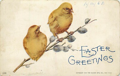 Postcard Easter Two Chicks Branch 1908 Divided Ullman Manufacturing 