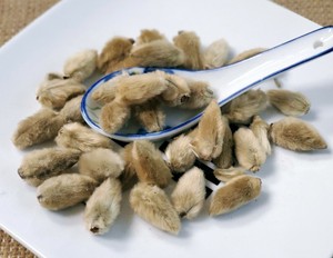 辛夷花xin Yi Magnolia Flower Bud Bud Of Magnolia Denudata Desr Ebay