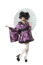Sexy Japanese Lovely Lolita Geisha Adult Costume