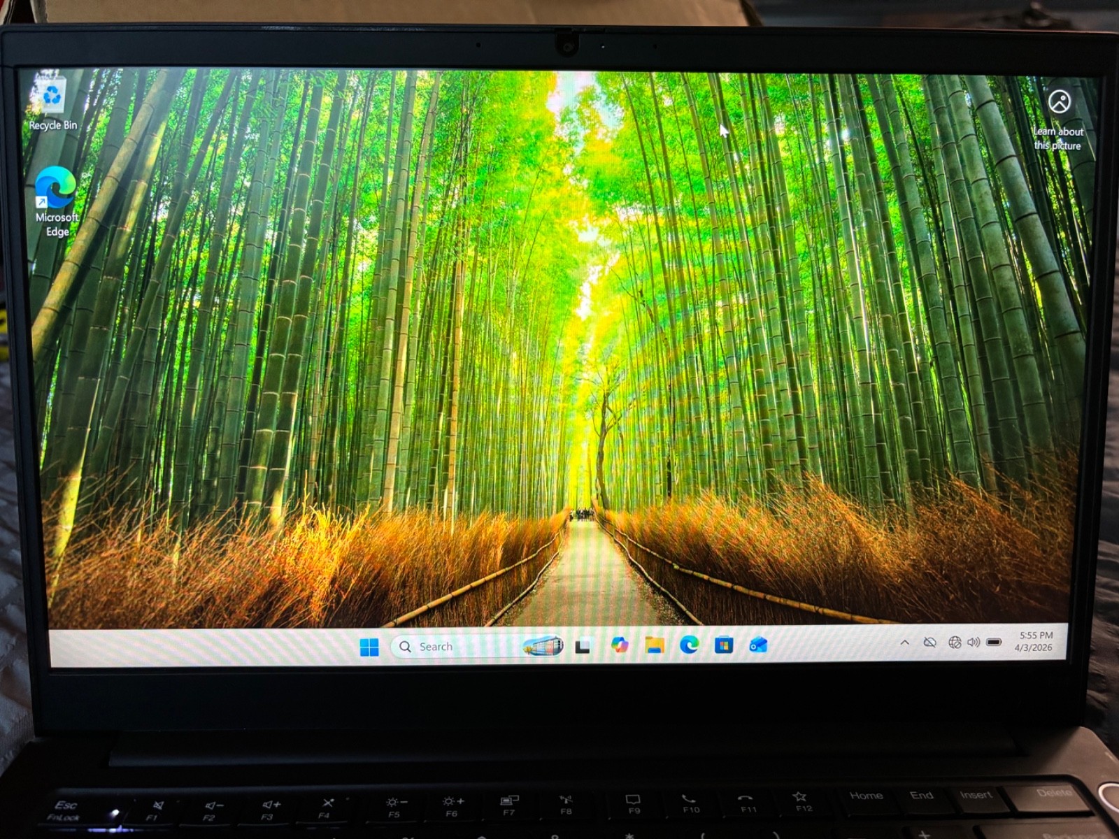 Lenovo ThinkPad E14 Gen 2, 14-Inch Laptop, with i7-1165G7, 512 GB SSD (Solid State Drive), Windows 11 Pro