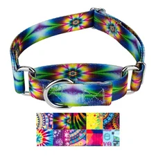 Country Brook Petz® Martingale Dog Collar - Groovy Collection