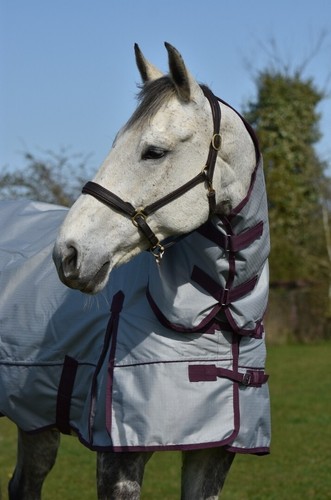 Alfombra de caballo ligera sin relleno 600D estándar y combo cuello impermeable - Imagen 31 de 38