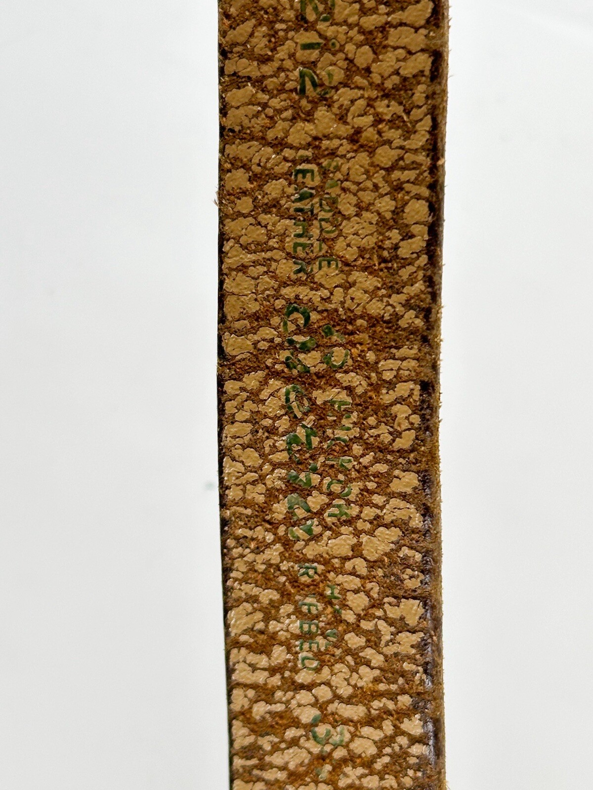 Foto 13 di 24