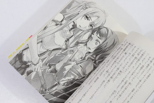 Lot 18 Sword Art Online SAO Vol 1~18 Graphic Light Novel Japanese Reki Kawahara - Picture 9 of 9