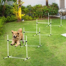 4 Piece Dog Agility Starter Kit with Adjustable Height Jump Bars, White