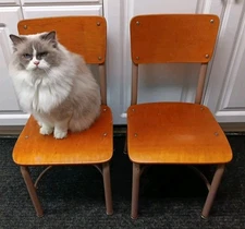 Pair Of Vintage Mid Century Bent Wood & Metal Child's School Chair 26¾" Tall