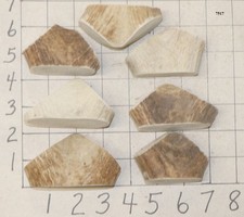 7 Elk Antler Dog Chew Treats Crafts
