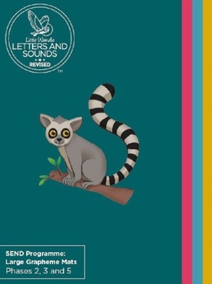 SEND PROGRAMME LARGE GRAPHEME MATS 2 3 5 by Wandle Learning Trust and Little