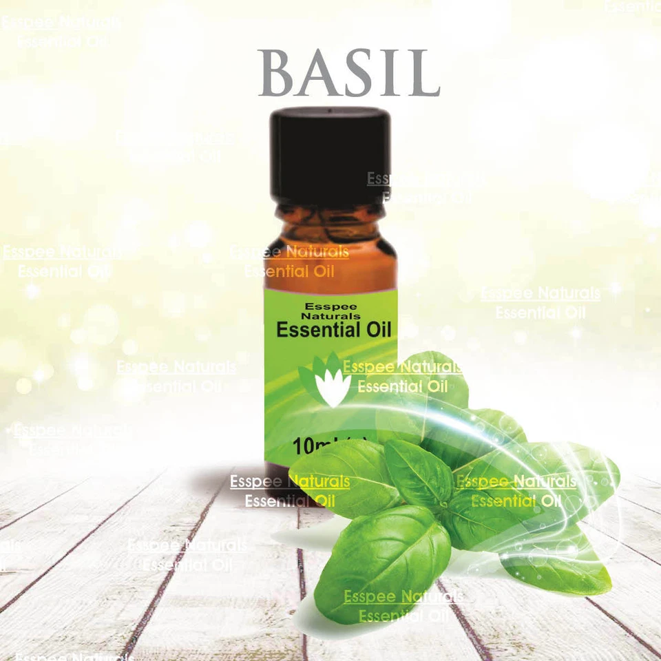 ESSPEE NATURALS Basil Essential Oil 10ml - 100% Pure - For Aromatherapy & Home Fragrance
