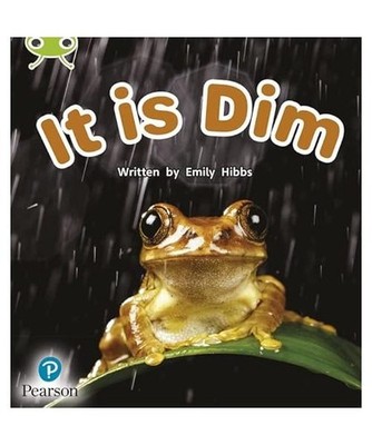 Bug Club Phonics Non-Fiction Early Years and Reception Phase 2 Unit 2 It is Dim,