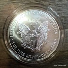 1 oz Fine Silver Coin USD American Silver Eagle Bullion  - NO RESERVE AUCTION