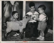 1954 Press Photo Douglas, Donaldm Damian with Lambie - nee20734
