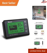 Battery Monitor with Shunt, 500A Capacity  User-Friendly Display, 20ft Cable