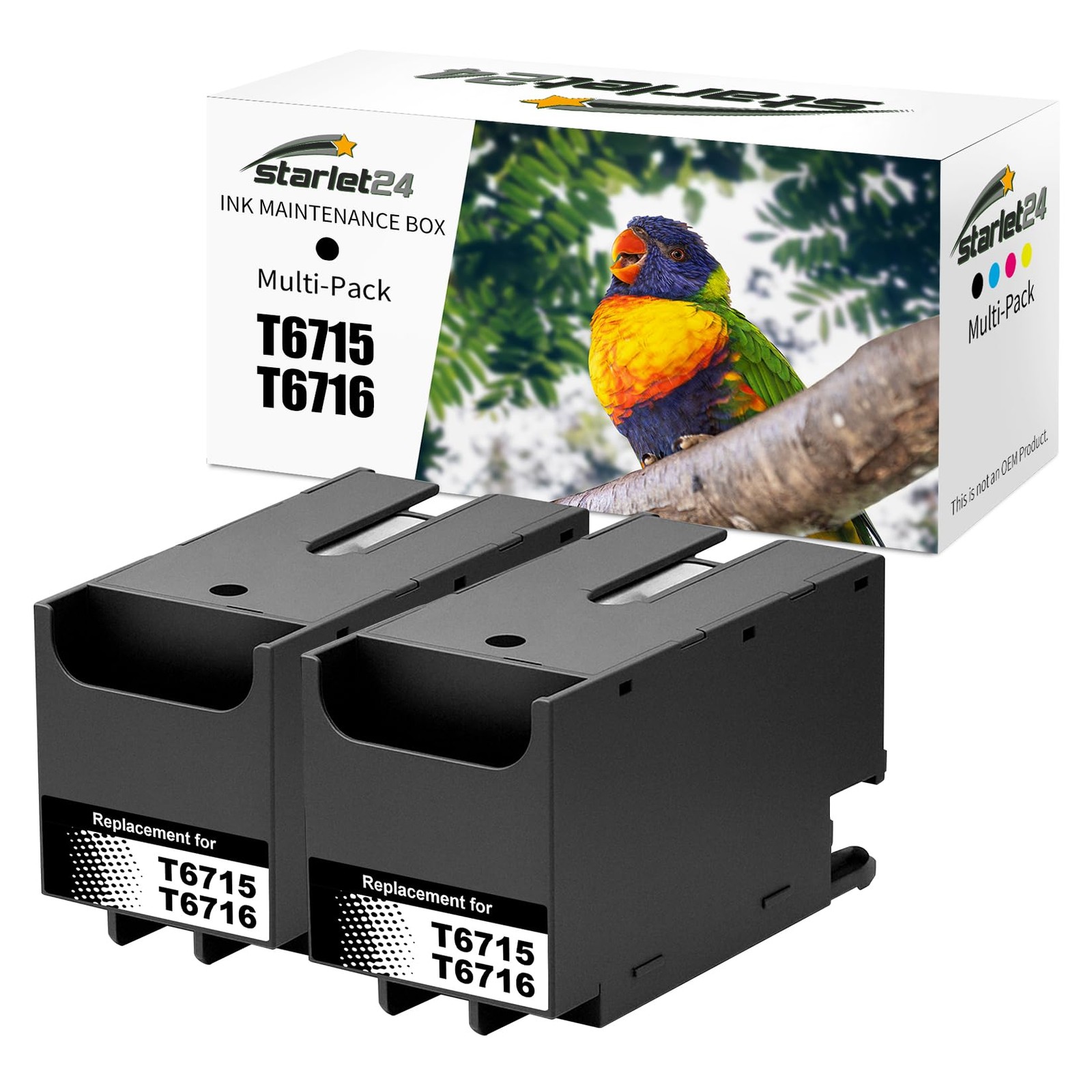 Kit T6715 maintenance Epson pour impressions bureautiques intensives 2 pièces