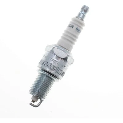JARDIAFFAIRES Bougie Champion RN12YC pour moteur 4 temps