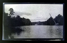 1910s Tipping Sail Boat River Spanish Moss Vintage Photo Negative 5.5 X 3.25 E