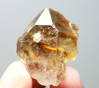 Natural Original Golden Hair Rutilated Quartz Crystal Cluster Point Specimen