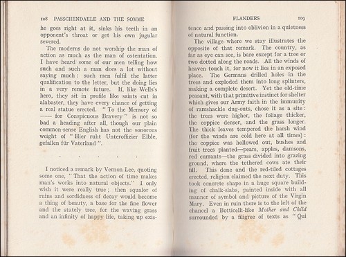 Quigley PASSCHENDAELE and the SOMME A Diary of 1917 Arras Ypres 12th ROYAL SCOTS - Picture 15 of 23
