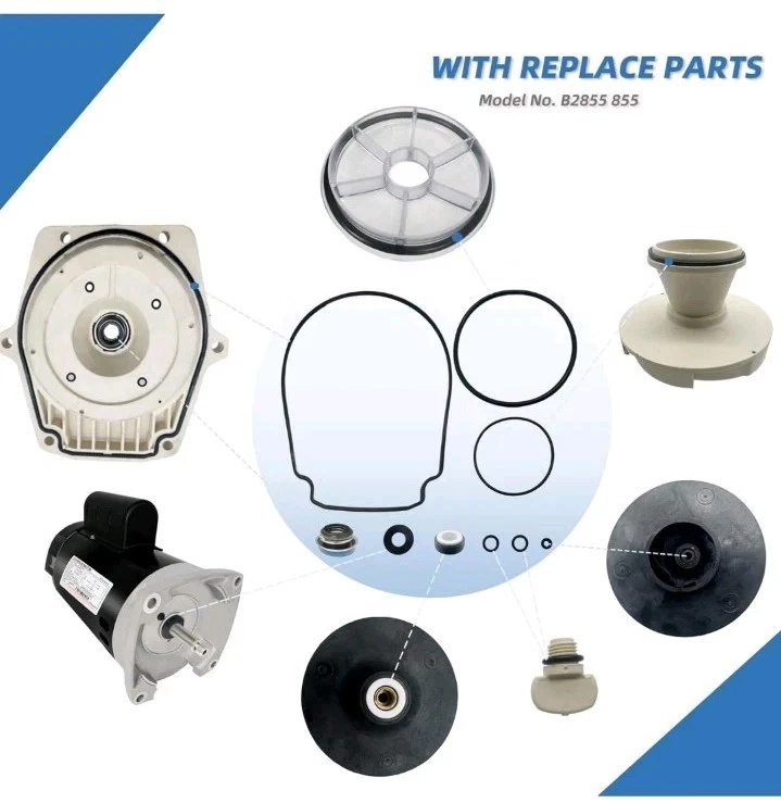 B2855 2HP Pool Pump Motor Replaces Century/AO Smith Regal Beloit B855... - Image 4 of 4