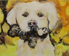 " Golden Retriever "  Art Abstract Original acrylic  canvas 8 x 10 CJ Lee