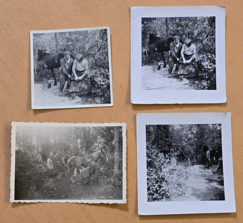 WEHRMACHT CAVALRY FIT HORSE SHOE SHOEING WW2 WWII German Military photo