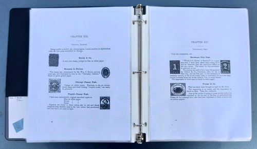 US Lokalmarken Konvolut mit Archivnachdruck der US Locals und ihrer Geschichte - Bild 11 von 12