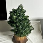 Picture 5 of 22