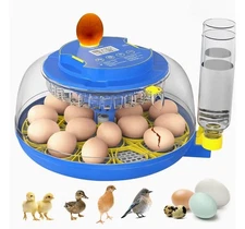 18 Egg Incubator with Automatic Egg Turning and Humidity Control