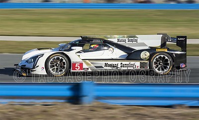 Cadillac DPi Mustang Sampling at the Rolex 24 at Daytona Race Car Photo CA-1392