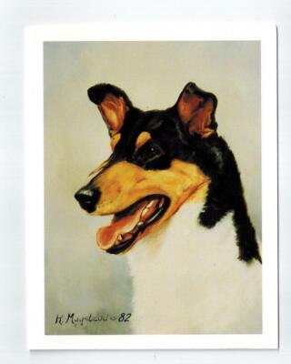 Smooth Collie Head Study Notecard Set - 12 Blank Note Cards Artist Ruth Maystead