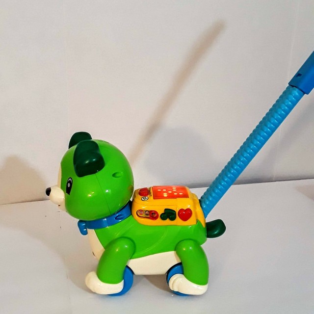 step and learn scout