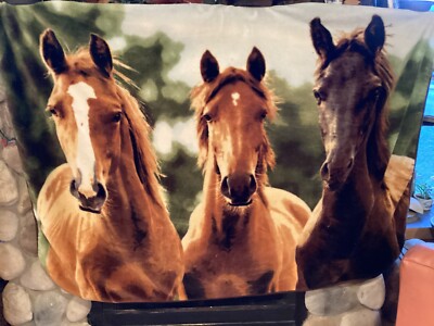 Throw Blanket Wild Horses 3 Mares 4x6 Vintage  Tapestry