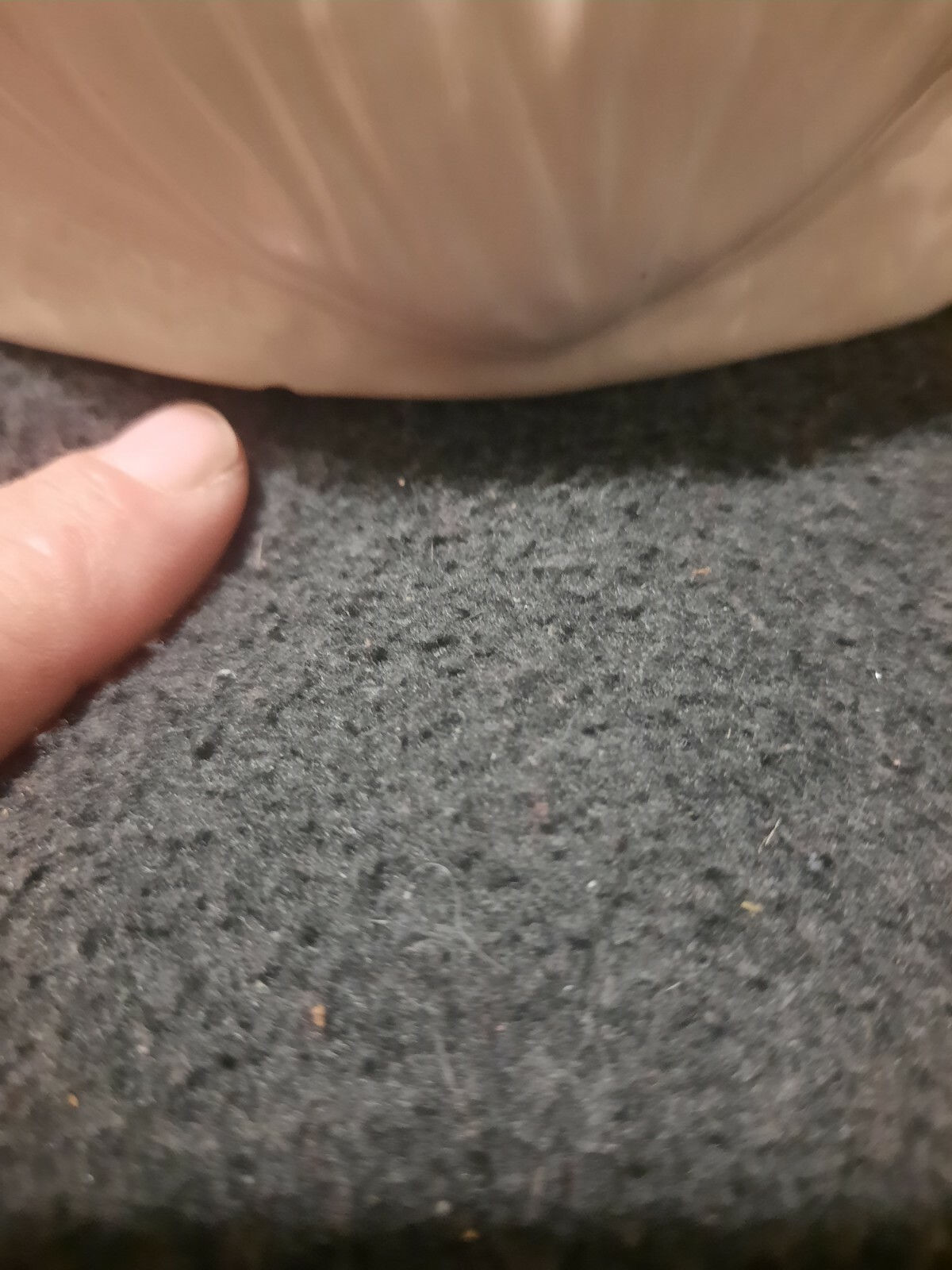 Picture 10 of 11