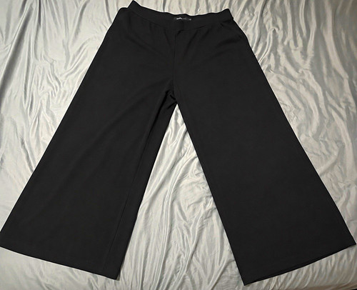 Torrid Women’s Plus 3XL Black Solid Wide-Leg Dress Pants Slacks. Only worn once.