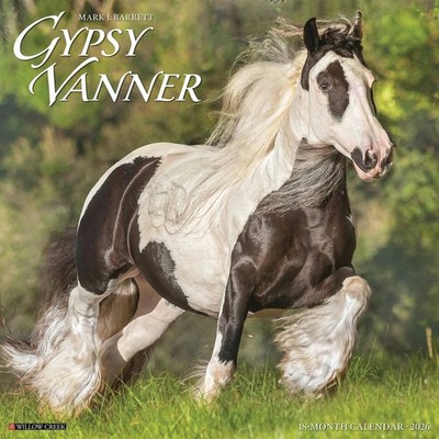 Gypsy Vanner Horse Calendar 2026, Wall Calendars, Month To View, Animals, Gift