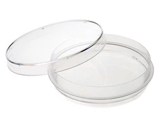 CELLTREAT 100mm x 15mm Petri Dish w/Grip Ring, 500/Case, Sterile, #229693