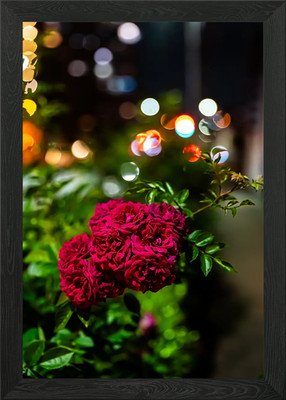 Rote Rosen bei Nacht mit Bokeh gerahmtes Wandbild Poster Leinwanddruck Bild